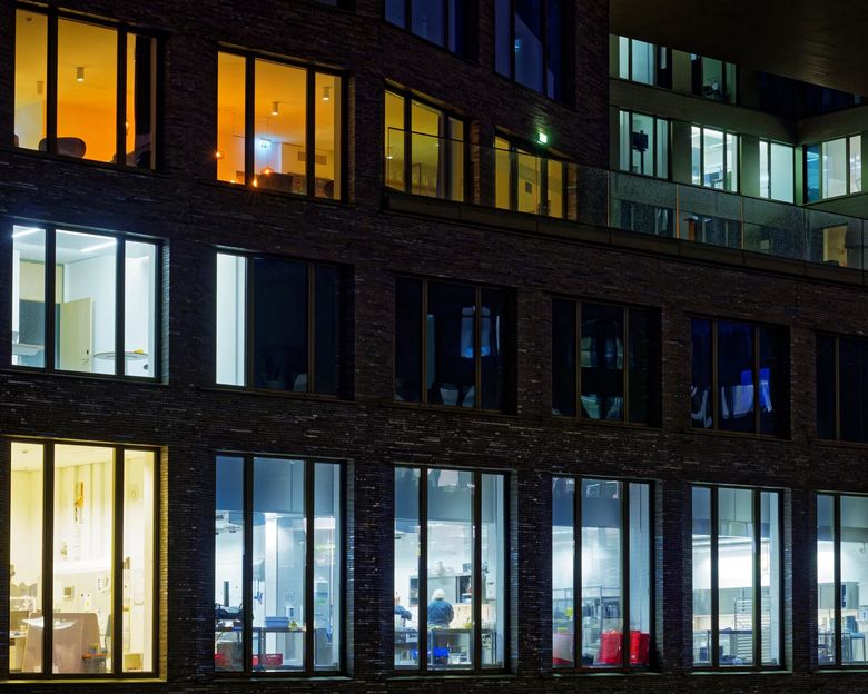 Что такое Human Centric Lighting и чем он отличается от обычного умного