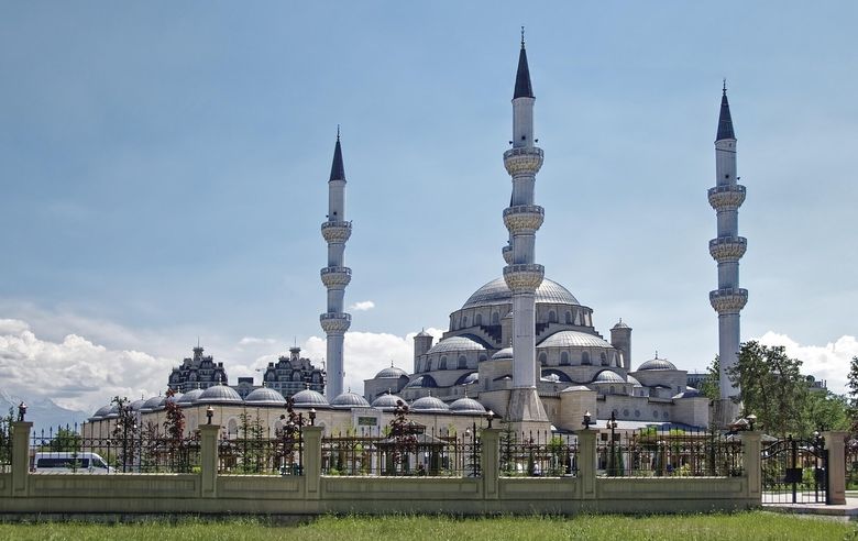 Основные ориентиры при подборе: